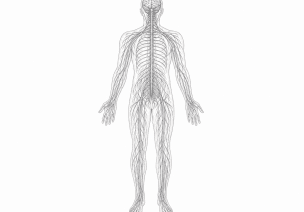 Neurochirurgija