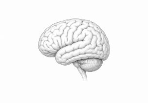 Neurologija